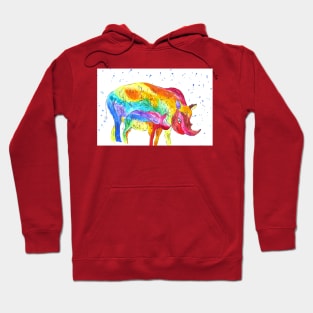 Colourful Mother and Baby Rhino Hoodie